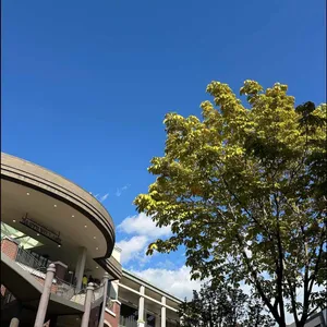 잭슨피자 리뷰 사진