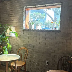 코즈 리뷰 사진