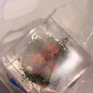 코멧 사진
