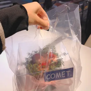 코멧 사진