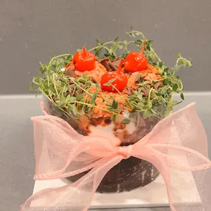 코멧 사진