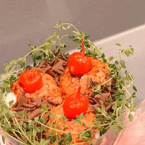 코멧 사진