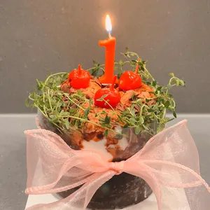 코멧 사진
