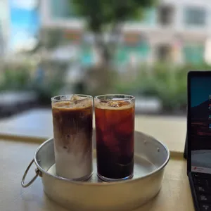 레발콩 사진