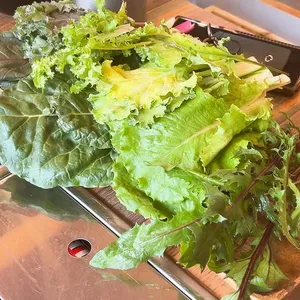싸미랑 사진