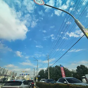 서운칼국수 리뷰 사진