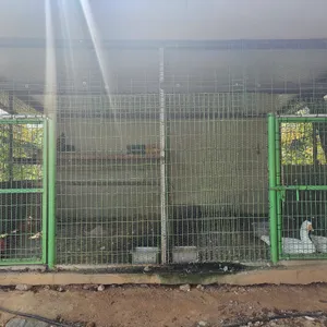 서운칼국수 리뷰 사진