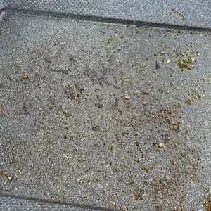 대박집 리뷰 사진
