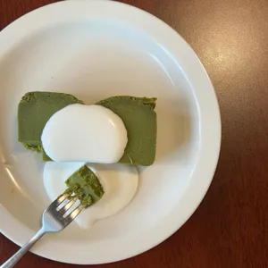 트램 서울 사진