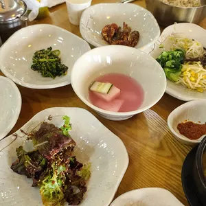 벽오동 사진