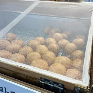 만두장성 리뷰 사진