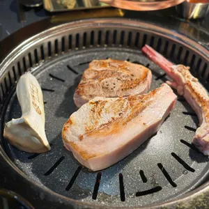 돼나무 사진