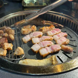 돼나무 사진