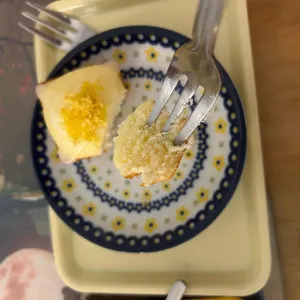토키 사진