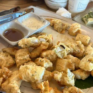 조가네갑오징어 사진