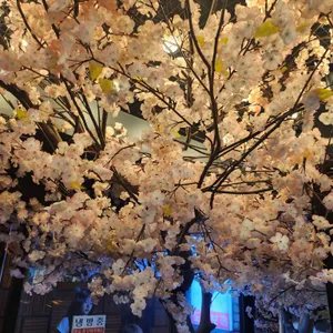 도톤보리 리뷰 사진