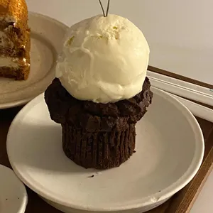 본지르르 사진
