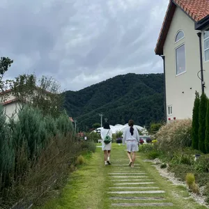 그리심 대표 사진