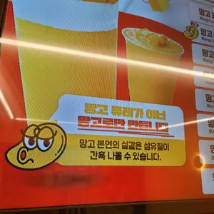 고망고 리뷰 사진