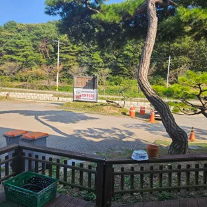 조가네 리뷰 사진