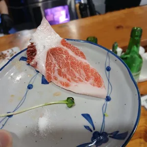 참치 Jo 사진