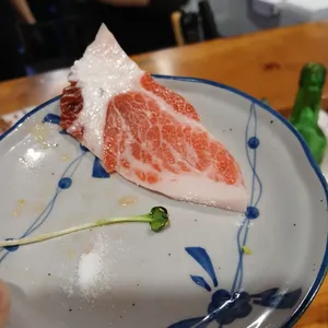참치 Jo 사진