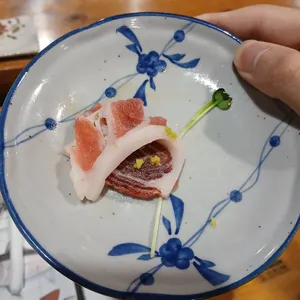 참치 Jo 사진