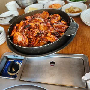 조가네갑오징어 사진