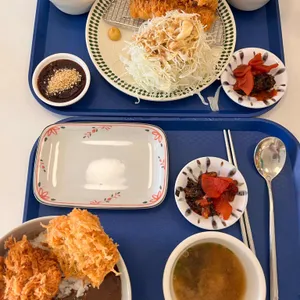 카카모루 사진