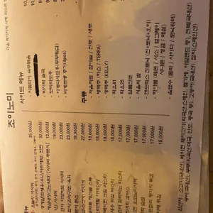 초이노미 리뷰 사진