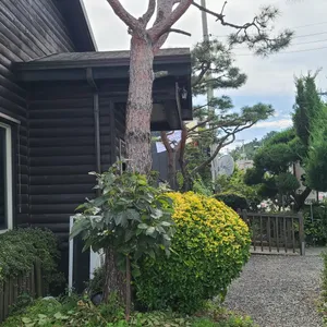 비원 리뷰 사진