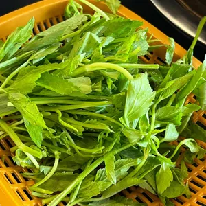 조선부뚜막 사진