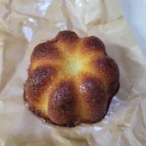 바다쏭 사진