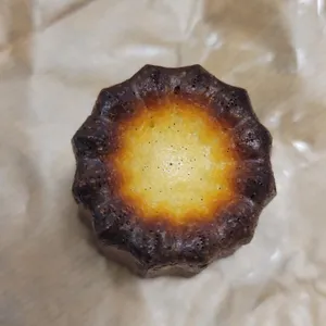 바다쏭 사진