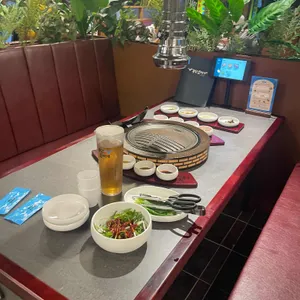 부산갈매기 사진