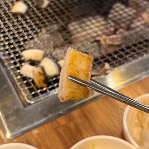 장수민물장어 사진
