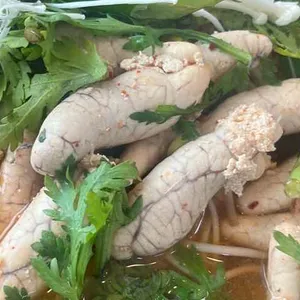 굼터 사진