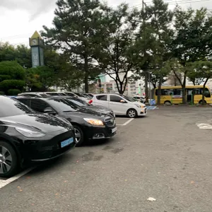 트레비어 리뷰 사진