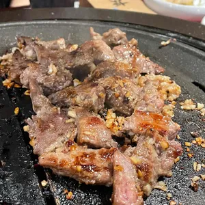 부산갈매기 사진