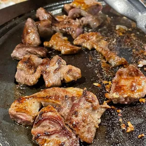 부산갈매기 사진