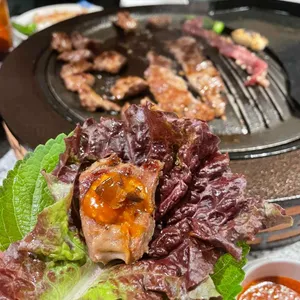 부산갈매기 사진