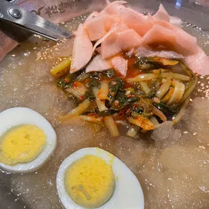 부산갈매기 사진