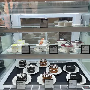 레인리포트브리티시 사진