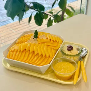 딩동 사진
