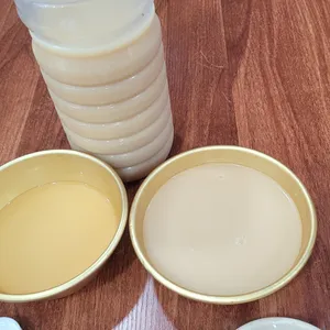 대경홍삼 사진 2