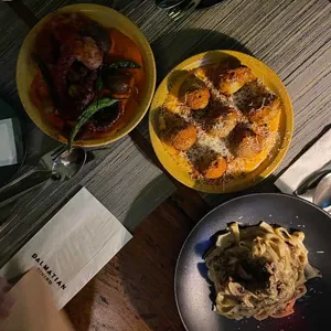 달마시안 사진