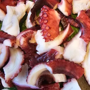 또온집이모카세 사진