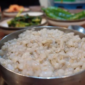 토종시골집 사진