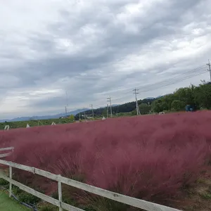 유기농카페 리뷰 사진