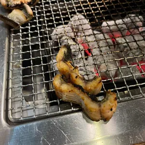 강화도민물장어 사진